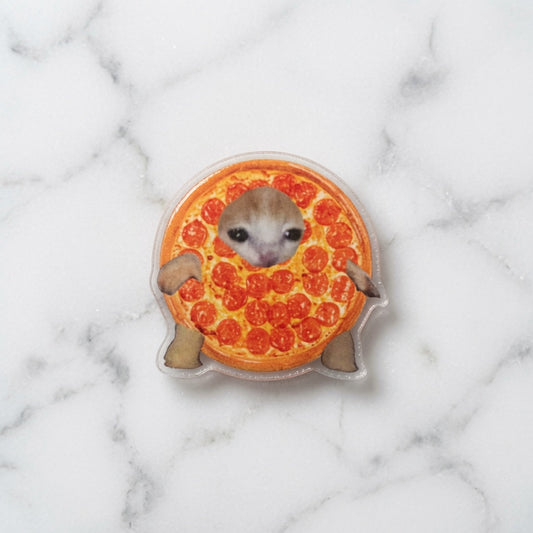 Pizza Cat